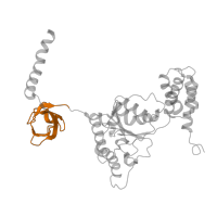 The deposited structure of PDB entry 4cr3 contains 1 copy of Pfam domain PF16450 (Proteasomal ATPase OB C-terminal domain) in 26S proteasome regulatory subunit 4 homolog. Showing 1 copy in chain P [auth I].