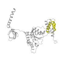 The deposited structure of PDB entry 4cr3 contains 1 copy of Pfam domain PF17862 (AAA+ lid domain) in 26S proteasome regulatory subunit 4 homolog. Showing 1 copy in chain P [auth I].