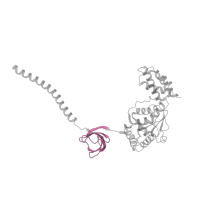 The deposited structure of PDB entry 4cr3 contains 1 copy of Pfam domain PF16450 (Proteasomal ATPase OB C-terminal domain) in 26S proteasome regulatory subunit 8 homolog. Showing 1 copy in chain Q [auth J].