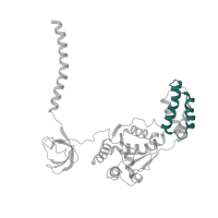 The deposited structure of PDB entry 4cr3 contains 1 copy of Pfam domain PF17862 (AAA+ lid domain) in 26S proteasome subunit RPT4. Showing 1 copy in chain S [auth L].