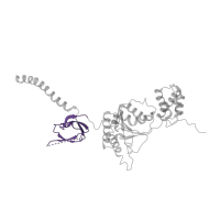 The deposited structure of PDB entry 4cr3 contains 1 copy of Pfam domain PF16450 (Proteasomal ATPase OB C-terminal domain) in 26S proteasome regulatory subunit 6A. Showing 1 copy in chain T [auth M].