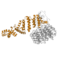 The deposited structure of PDB entry 4cr3 contains 1 copy of Pfam domain PF21505 (26S proteasome subunit RPN2, N-terminal domain) in 26S proteasome regulatory subunit RPN2. Showing 1 copy in chain U [auth N].