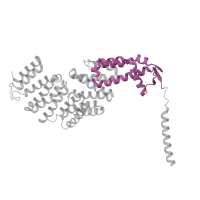 The deposited structure of PDB entry 4cr3 contains 1 copy of Pfam domain PF01399 (PCI domain) in 26S proteasome regulatory subunit RPN6. Showing 1 copy in chain X [auth Q].