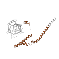 The deposited structure of PDB entry 4cr3 contains 1 copy of Pfam domain PF13012 (Maintenance of mitochondrial structure and function) in 26S proteasome regulatory subunit RPN8. Showing 1 copy in chain BA [auth U].