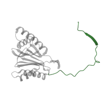 The deposited structure of PDB entry 4cr3 contains 1 copy of Pfam domain PF12465 (Proteasome beta subunits C terminal ) in Proteasome subunit beta type-2. Showing 1 copy in chain B [auth 2].