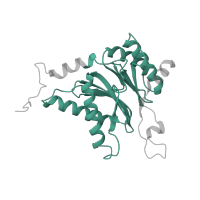 The deposited structure of PDB entry 4cr3 contains 1 copy of Pfam domain PF00227 (Proteasome subunit) in Proteasome subunit alpha type-2. Showing 1 copy in chain I [auth B].