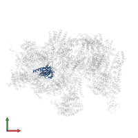 Proteasome subunit alpha type-3 in PDB entry 4cr3, assembly 1, front view.