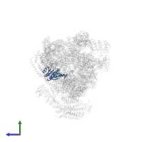 Proteasome subunit alpha type-3 in PDB entry 4cr3, assembly 1, side view.