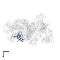 Proteasome subunit alpha type-3 in PDB entry 4cr3, assembly 1, top view.