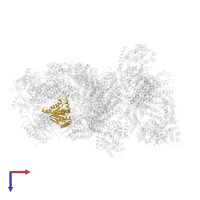 Proteasome subunit alpha type-4 in PDB entry 4cr3, assembly 1, top view.