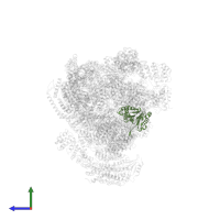 Proteasome subunit alpha type-6 in PDB entry 4cr3, assembly 1, side view.