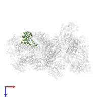 Proteasome subunit alpha type-6 in PDB entry 4cr3, assembly 1, top view.