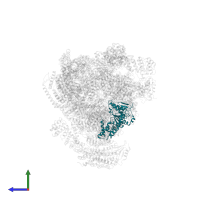 26S proteasome regulatory subunit 7 homolog in PDB entry 4cr3, assembly 1, side view.
