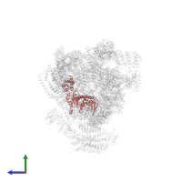 26S proteasome regulatory subunit 8 homolog in PDB entry 4cr3, assembly 1, side view.