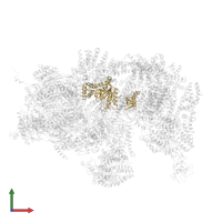 26S proteasome subunit RPT4 in PDB entry 4cr3, assembly 1, front view.