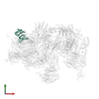Proteasome subunit beta type-1 in PDB entry 4cr3, assembly 1, front view.