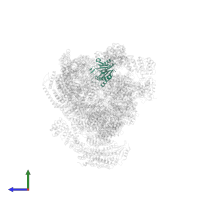 Proteasome subunit beta type-1 in PDB entry 4cr3, assembly 1, side view.