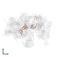 26S proteasome regulatory subunit 6A in PDB entry 4cr3, assembly 1, front view.