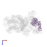 26S proteasome regulatory subunit RPN2 in PDB entry 4cr3, assembly 1, top view.