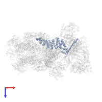 26S proteasome regulatory subunit RPN5 in PDB entry 4cr3, assembly 1, top view.