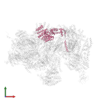 26S proteasome regulatory subunit RPN6 in PDB entry 4cr3, assembly 1, front view.