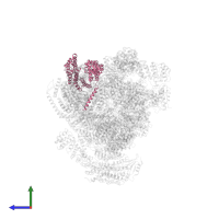 26S proteasome regulatory subunit RPN6 in PDB entry 4cr3, assembly 1, side view.