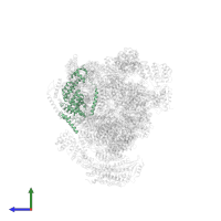 26S proteasome regulatory subunit RPN3 in PDB entry 4cr3, assembly 1, side view.