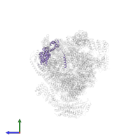 26S proteasome regulatory subunit RPN12 in PDB entry 4cr3, assembly 1, side view.