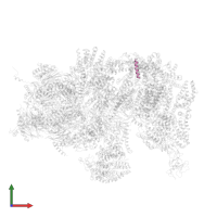 26S proteasome complex subunit SEM1 in PDB entry 4cr3, assembly 1, front view.