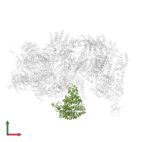 26S proteasome regulatory subunit RPN1 in PDB entry 4cr3, assembly 1, front view.