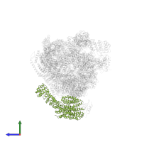 26S proteasome regulatory subunit RPN1 in PDB entry 4cr3, assembly 1, side view.