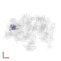 Proteasome subunit beta type-3 in PDB entry 4cr3, assembly 1, front view.