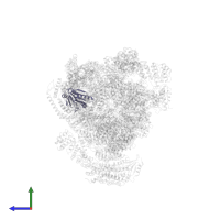 Proteasome subunit beta type-3 in PDB entry 4cr3, assembly 1, side view.