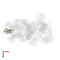 Proteasome subunit beta type-5 in PDB entry 4cr3, assembly 1, top view.