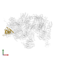 Proteasome subunit beta type-6 in PDB entry 4cr3, assembly 1, front view.