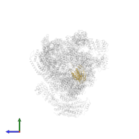 Proteasome subunit beta type-6 in PDB entry 4cr3, assembly 1, side view.