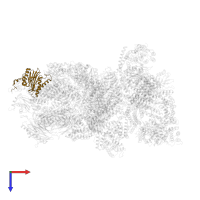 Proteasome subunit beta type-7 in PDB entry 4cr3, assembly 1, top view.