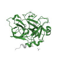 The deposited structure of PDB entry 4cr5 contains 1 copy of Pfam domain PF00089 (Trypsin) in Coagulation factor XIa light chain. Showing 1 copy in chain A.