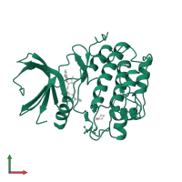 3-phosphoinositide-dependent protein kinase 1 in PDB entry 4ct2, assembly 1, front view.