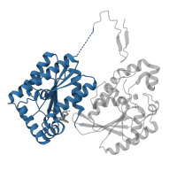 The deposited structure of PDB entry 4d4k contains 1 copy of CATH domain 3.40.50.300 (Rossmann fold) in 6-phosphofructo-2-kinase/fructose-2,6-bisphosphatase 3. Showing 1 copy in chain A.