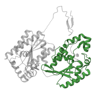 The deposited structure of PDB entry 4d4k contains 1 copy of Pfam domain PF00300 (Histidine phosphatase superfamily (branch 1)) in 6-phosphofructo-2-kinase/fructose-2,6-bisphosphatase 3. Showing 1 copy in chain A.