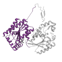 The deposited structure of PDB entry 4d4k contains 1 copy of Pfam domain PF01591 (6-phosphofructo-2-kinase) in 6-phosphofructo-2-kinase/fructose-2,6-bisphosphatase 3. Showing 1 copy in chain A.