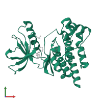 Focal adhesion kinase 1 in PDB entry 4d4v, assembly 2, front view.