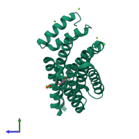 PDB entry 4dht coloured by chain, side view.