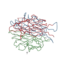 The deposited structure of PDB entry 4dou contains 3 copies of CATH domain 2.60.120.40 (Jelly Rolls) in Adiponectin. Showing 3 copies in chain A.