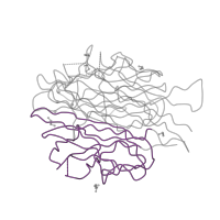 The deposited structure of PDB entry 4dou contains 1 copy of Pfam domain PF00386 (C1q domain) in Adiponectin. Showing 1 copy in chain A.