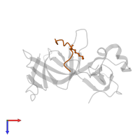 Histone H4 in PDB entry 4dow, assembly 1, top view.