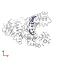 Se-dGTP in PDB entry 4dsi, assembly 1, front view.