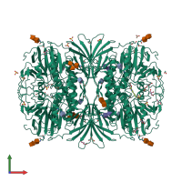 Homo tetrameric assembly 1 of PDB entry 4dsy coloured by chemically distinct molecules, front view.