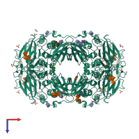 Homo tetrameric assembly 2 of PDB entry 4dsy coloured by chemically distinct molecules, top view.